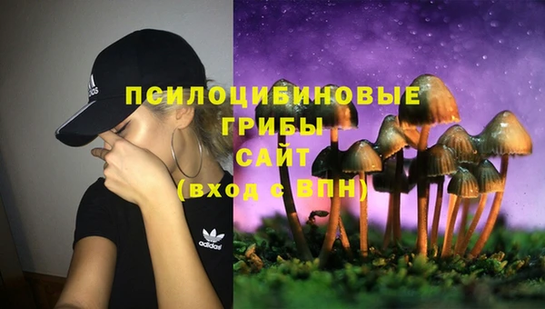 прущие крисы Нея